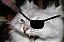 Cheshireboots's Avatar