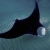 Mantaraya's Avatar