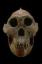 BenWarhawk's Avatar
