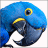 Piratesonlineisfun's Avatar