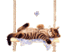 CatNap