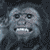 Buddy Icon 17