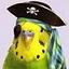 kirandwilfort's Avatar
