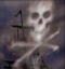 Pirate7347